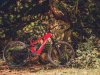 The new GASGAS ECC 2024 – Full gas with the SRAM Eagle Powertrain?